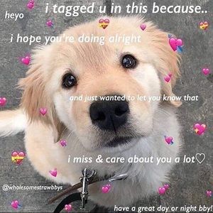 Meet your Posher, Michelle